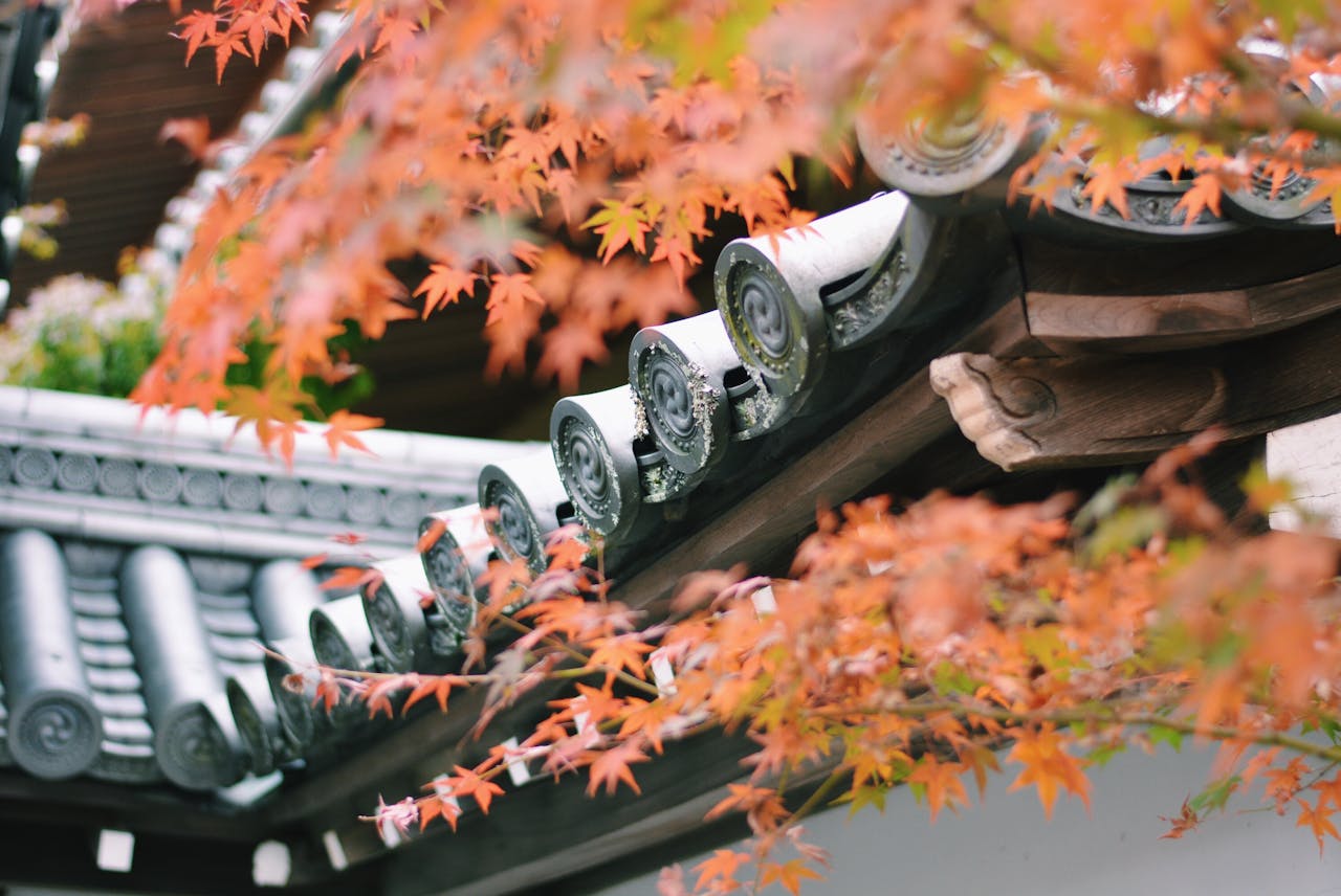 about-03 Close-up of traditional Japanese temple roof with vibrant autumn leaves in the foreground.