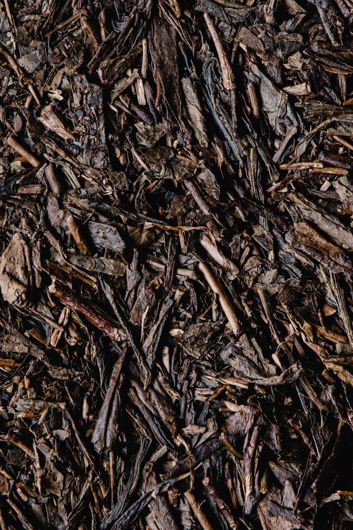 menu-03 Detailed texture of traditional hojicha tea leaves displaying vibrant earthy tones.